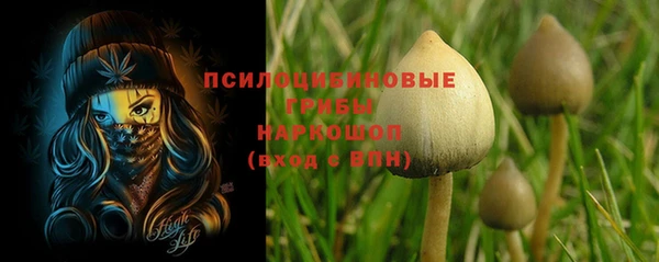 гидра Абаза