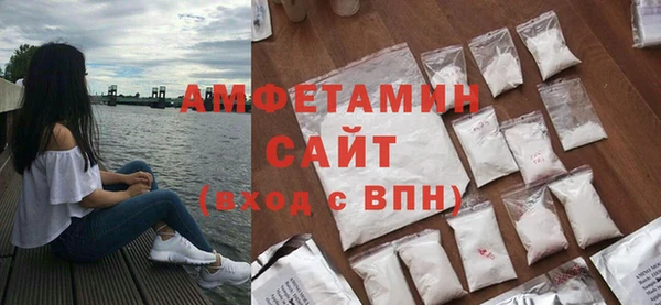 гидра Абаза