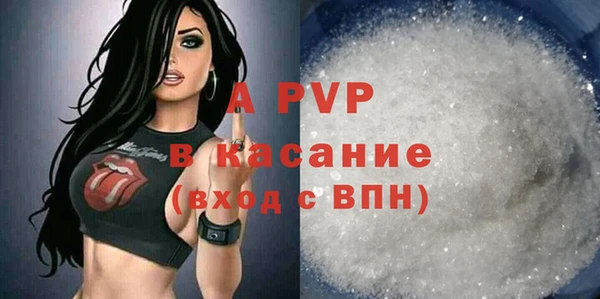 гидра Абаза